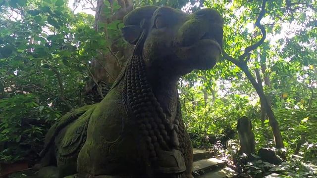 We took Selfie with Monkey | Bali Ep#05 : Ubud things to do | Tibumana waterfalls | Shopping
