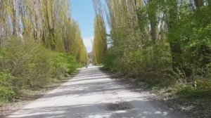 Приглашаю  вас на прогулку.