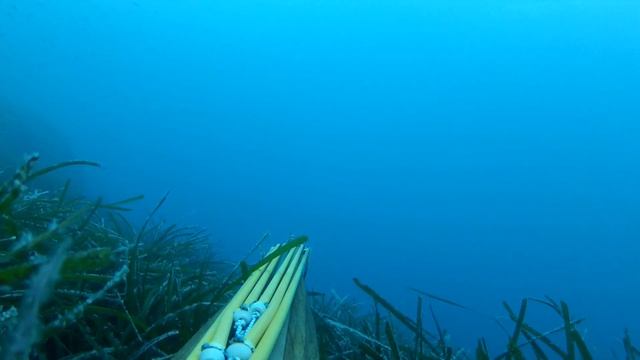 MEGA ORATONA e BARRACUDA in HD! смотреть онлайн