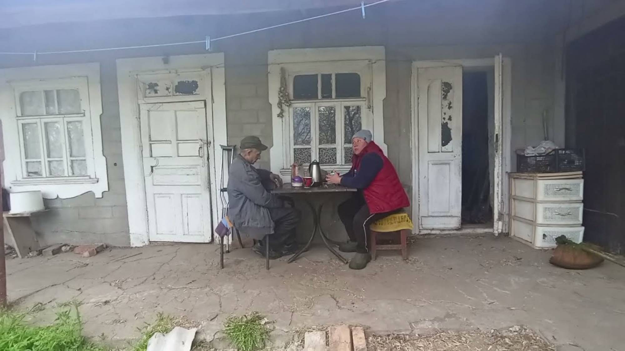 НАТАЛЬЯ ГУБАРЕВА. ВЫКОСИЛА У КОЛИ ДВОР