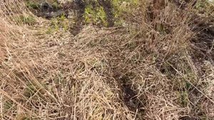 "Водокачка" Соревнование по ориентированию на пересеченной местности