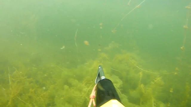 Дневная подводная охота 10 07 2022 смотреть онлайн