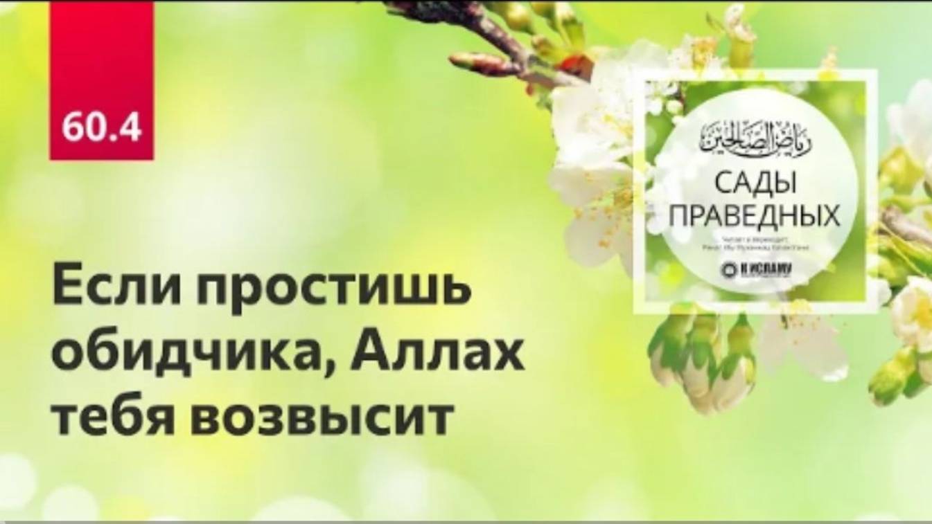 60.4 Если простишь обидчика, Аллах тебя возвысит