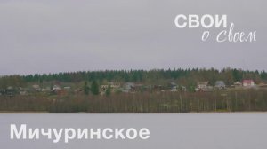 СВОи о своём | Мичуринское | Александр Мишин