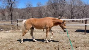 Пример видео для консультации. Видео должно быть не менее 30 секунд.