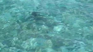 ДОЖДЬ НА ТУЛАГИРИ.MOV