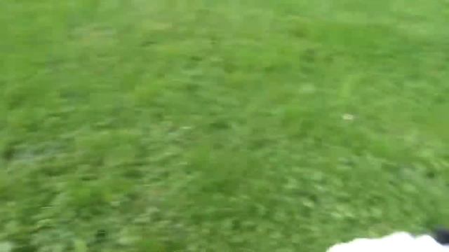 Zhilen Shi Aphrodite смотреть онлайн