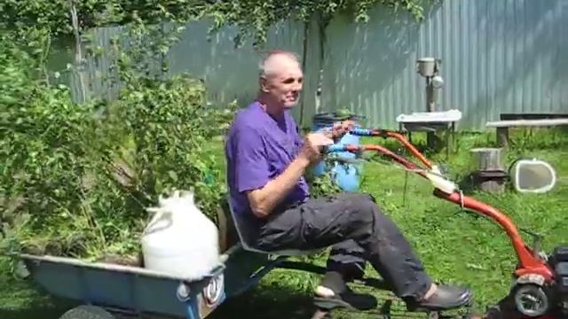 Везу выкопанные саженцы сливы. смотреть онлайн