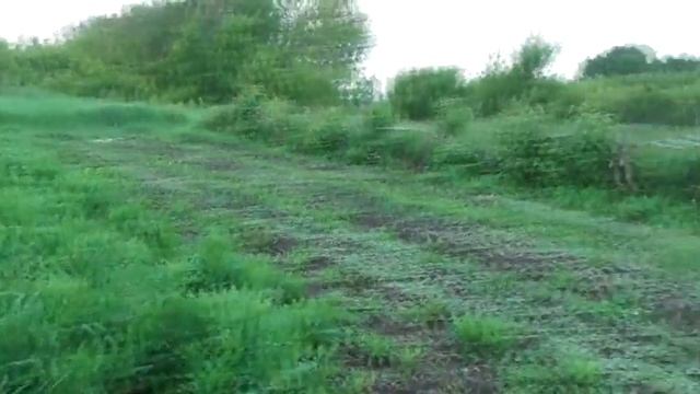 Весенние работы нужны ли?  Июнь. 2024.