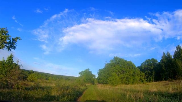 По лесной дорожке смотреть онлайн