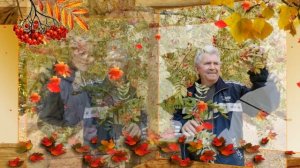 Блюз от Ольги Топильской осень🍁🍂 2024.