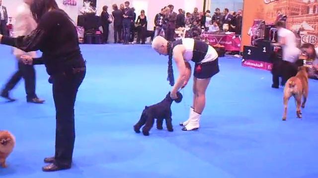 PICT0021.AVI смотреть онлайн