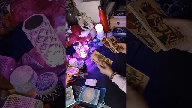 QUAL'È LO SCOPO DELLA TUA VITA🔥? E IN AMORE?❤️🔥COSA È DAVVERO DESTINATO A TE❤️🔥? смотреть онлайн