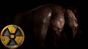 S.T.A.L.K.E.R. Call of Pripyat - 5. Охотник на мутантов