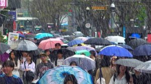 강남 첫 봄비 내리는 오후 산책, 강남대로 폭우 내린 후 도시 백색소음, 서울 강남 여행, 강남역, 서울 트래블 워커.