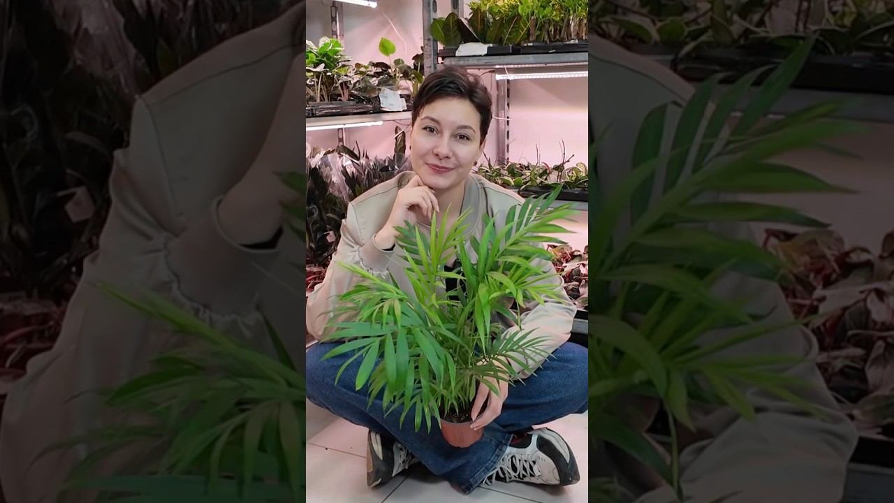 Проходи тест по подбору растения по ссылке в описании канала