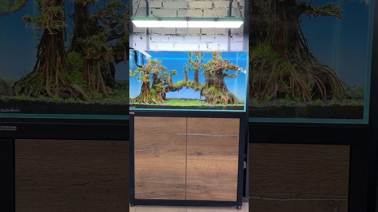 Забыла Вам показать, что запустила еще один аквариум #аквариум #машаблюм #aquarium #aquascape смотреть онлайн