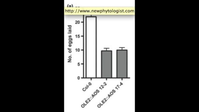Mike Roberts (University of Lancaster) talks to GARNet. смотреть онлайн