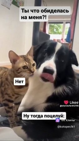 1000020251.mp4