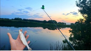 ВЕЧЕРНИЙ ВЫЕЗД НА КАРАСЯ И КАРПА!!РЫБАЛКА НА ПОПЛАВОК И КОРМУШКИ!!