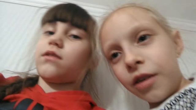 Что кушает хомяк🐹