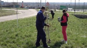 Общегородской субботник