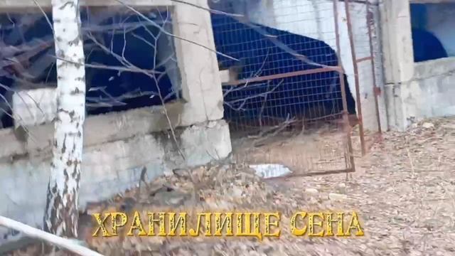 Продается здание 3502,7 кв.м, п. Пригорки. 4990000р