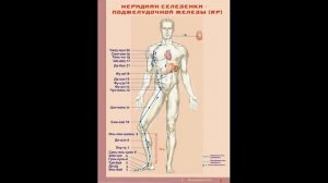 БИОЛОКАЦИЯ Урок 1 Эфирное тело