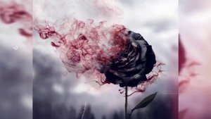 МАНАМ❤САРГАШТАИ❤ХАЙРОНАТ ЕЙ ДУСТ🖤 очень красивая музыка