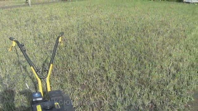 ВЕСНА  МАЙ.  Сажаем картофель. смотреть онлайн