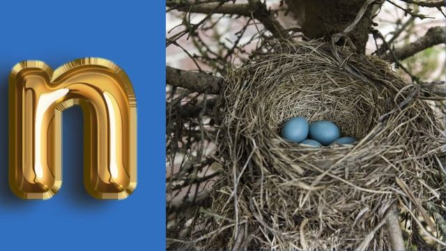 ABCD I A FOR APPLE B FOR BALL I ABC WITH WORDS I ALPHABETS смотреть онлайн