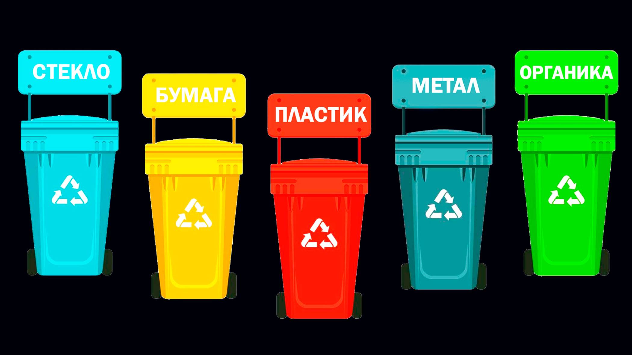 🌍 Учимся сортировать мусор | Видео для детей🌟