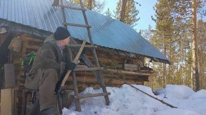 После курорта снова в лесу.