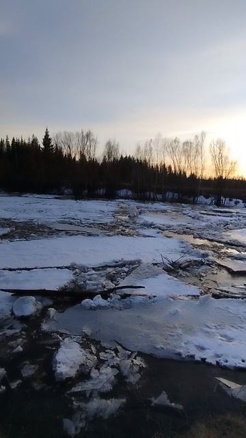 река Чукша д.Савельевка.Чунский  Окру16/04/2025.Резкий подъём воды.Выйдет из берегов вода или нет???