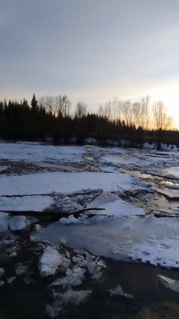 река Чукша д.Савельевка.Чунский  Окру16/04/2025.Резкий подъём воды.Выйдет из берегов вода или нет???