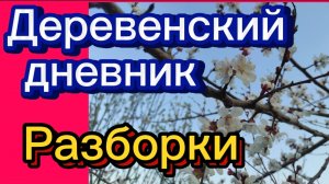 ДЕРЕВЕНСКИЙ ДНЕВНИК. "РАЗБОРКИ"