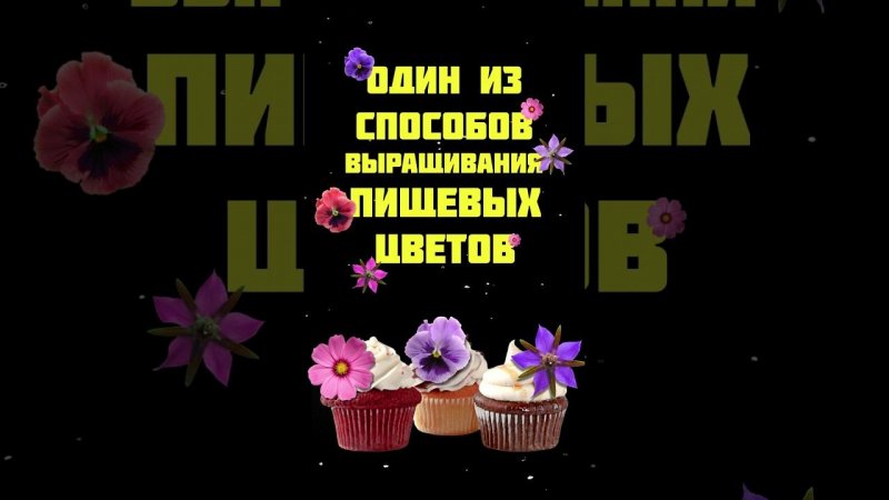 Съедобные цветы - это топ! А вы знали что они являются мощным антиоксидантом? #микрозелень #бизнес