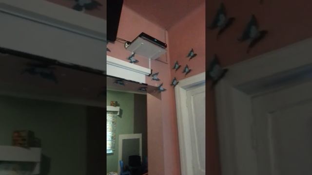 Decor cu flori gigant in Tara Minunilor