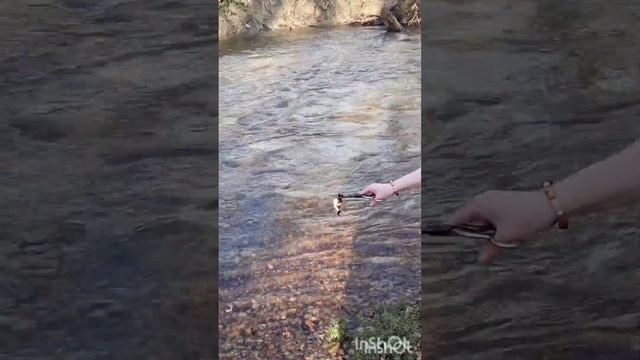 Чистка с отливкой на Месте Силы от нечисти, да во Здравие!!! РИТУАЛ! смотреть онлайн