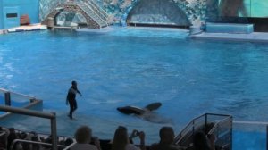 Sea World "Believe" Show Clip - Feb 23 2010