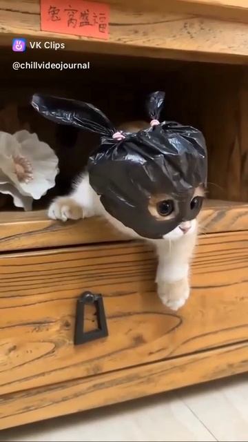 посмотрите пожалуйста или🙏 смотреть онлайн