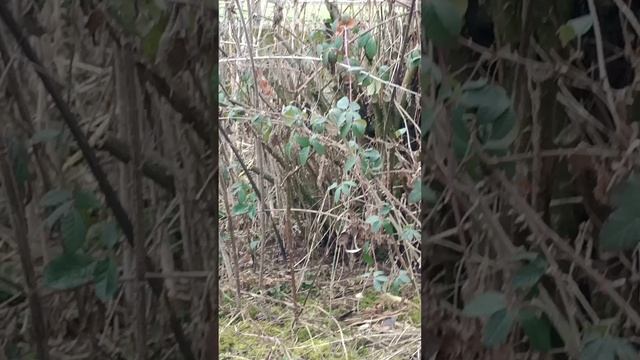 1000321821.mp4 НАЛЬЧИК.Санаторий ЦЕЛЕБНЫЕ ВОДЫ.март 2024