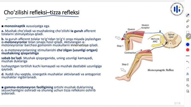 14. Motor tizim смотреть онлайн
