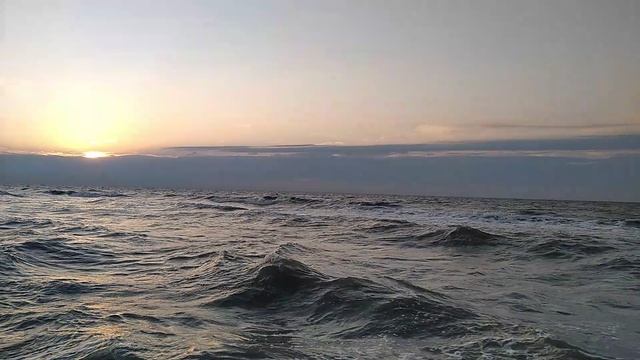 ASMR успокаивают звуки волн Азовского моря на отдыхе в станице Голубицкая