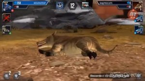 Бои динозавров /1