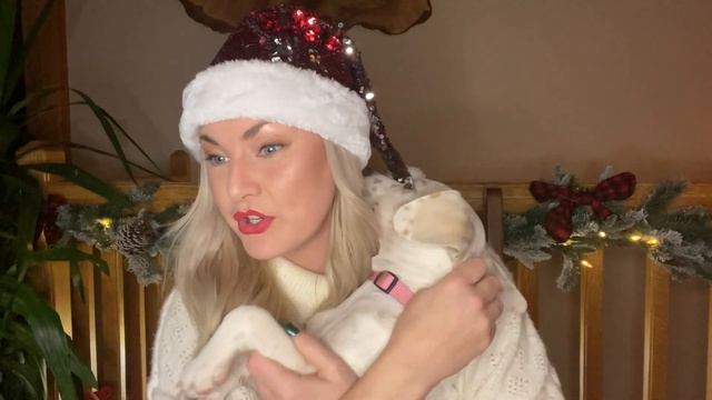 5 Quick Questions with Kelly Prescott (Holiday Edition) смотреть онлайн