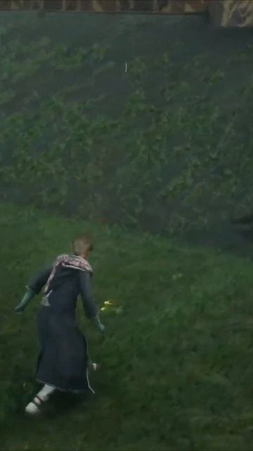 СЛИЗЕРИНСКАЯ ЗВЕЗДА ПОЛЕТОВ в Hogwarts Legacy ХОГВАРТС НАСЛЕДИЕ смотреть онлайн