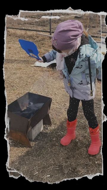 Открыли дачный сезон смотреть онлайн