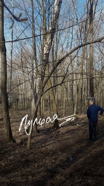774
203
Пациент — Хирургу;
(Алкашня - психотерапевту)
— Доктор,
А Почему Меня Не Зашили?