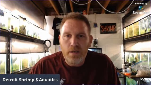 Are your shrimp overweight due to Cov.d 19? Well for $39.99 a month I can fix that. смотреть онлайн